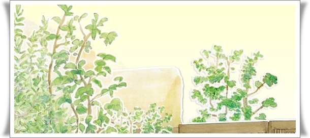 「4月のイベント予定」_b0299839_16512132.jpg