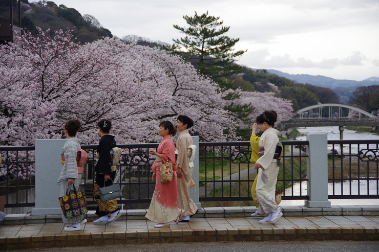 桜　金沢　　2016 　その２　晴々でイってみような感_b0250144_20241467.jpg