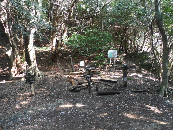 a0206345_1750160.jpg