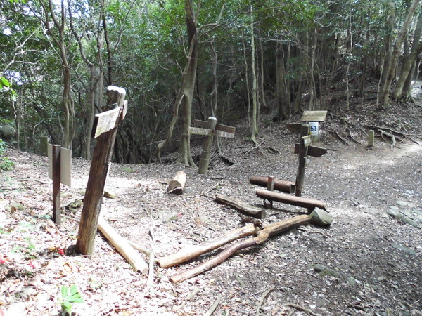 a0206345_19113366.jpg