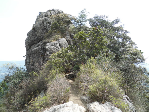 a0206345_19122080.jpg