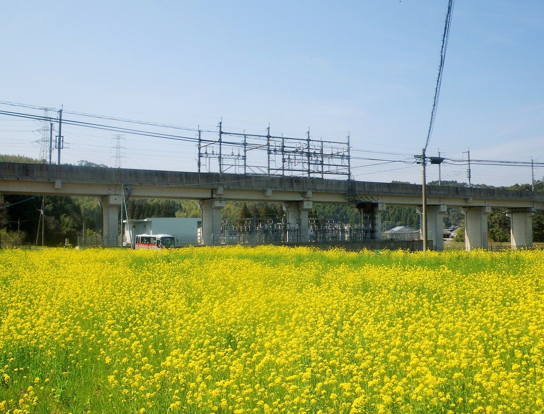 c0360849_21444020.jpg