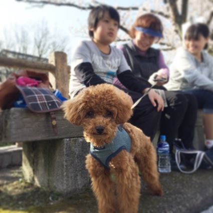a0095753_13231591.jpeg