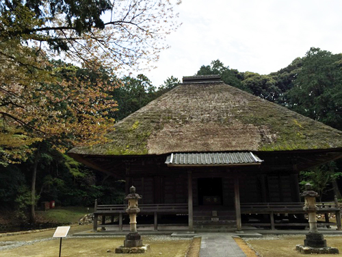 鷲津 本興寺の桜_a0109655_1843353.jpg