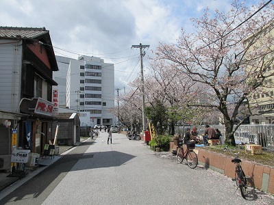 f0006356_1631770.jpg