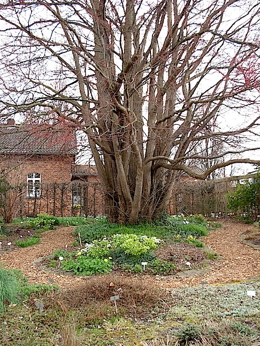 e0357367_2314285.jpg