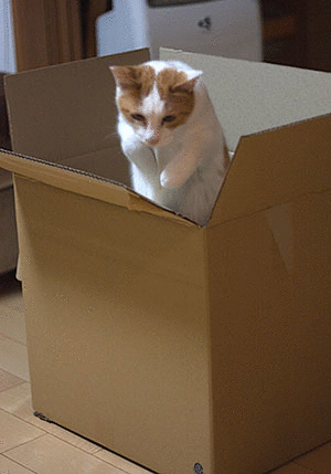 a0119470_16385872.gif