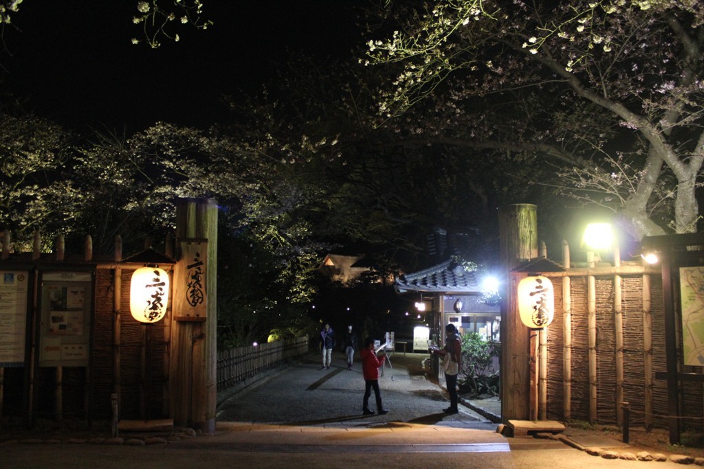 三渓園の夜桜_c0310571_19441118.jpg