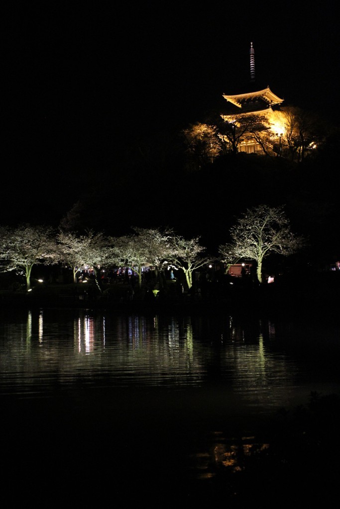 三渓園の夜桜_c0310571_19443917.jpg