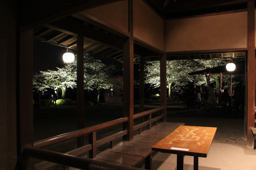 三渓園の夜桜_c0310571_19444851.jpg