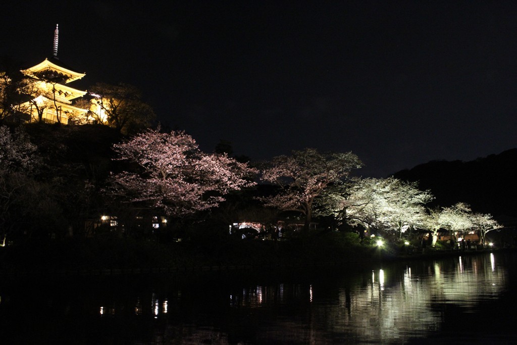 三渓園の夜桜_c0310571_19445581.jpg
