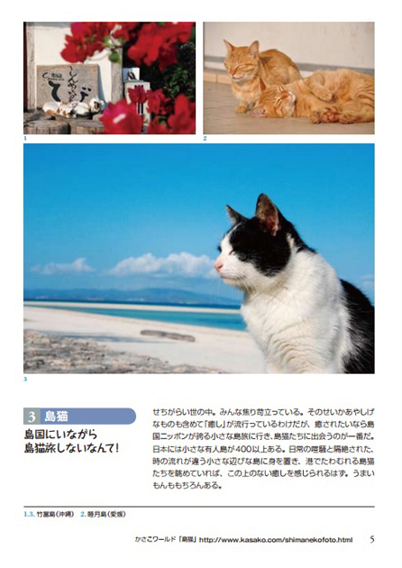セルフマガジンの作り方：同じ内容でも見せ方が違うと印象は違う！_e0171573_27858.jpg