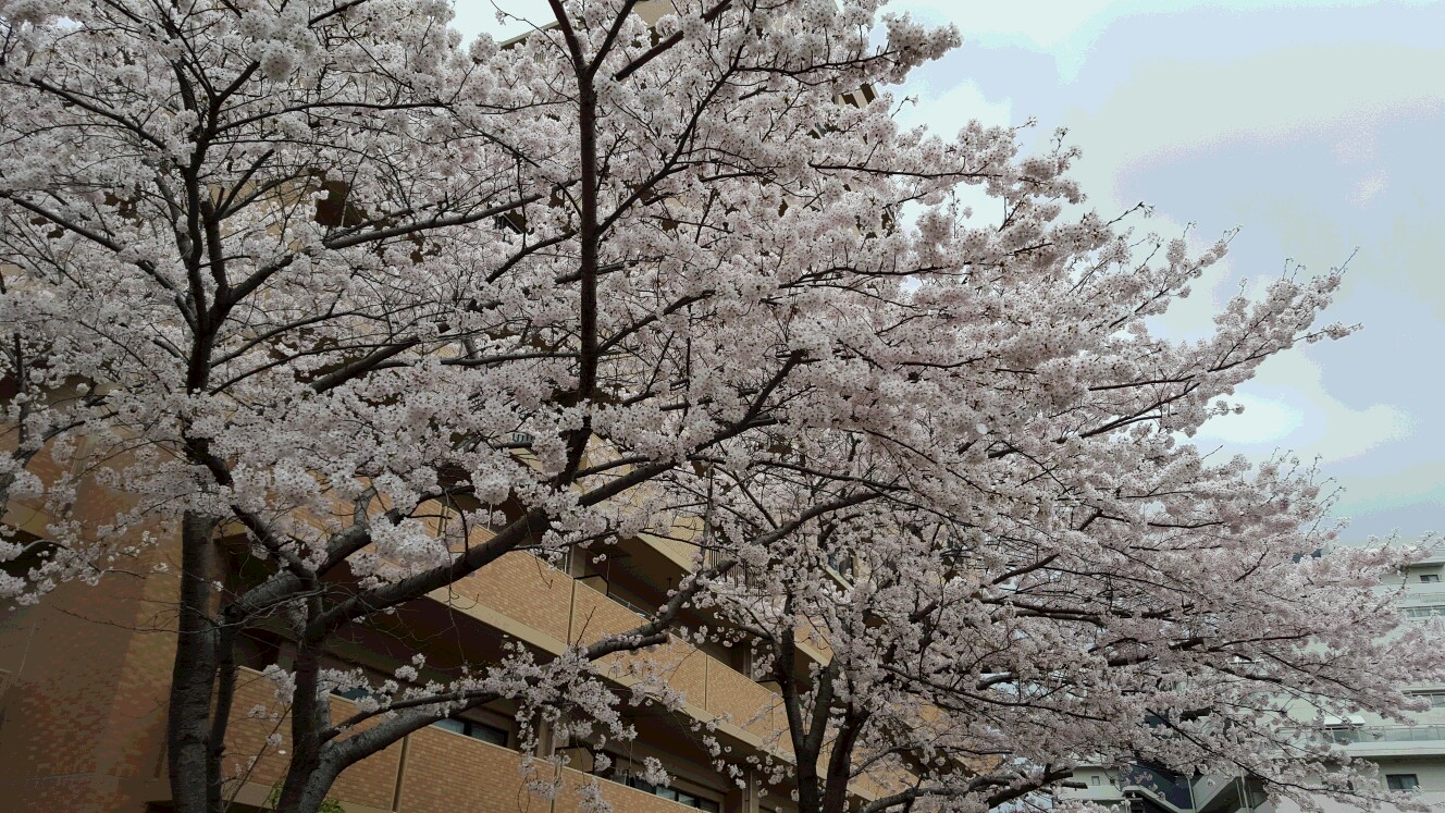 c0160277_0105585.jpg