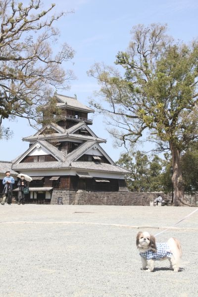 熊本旅行_f0058277_21495755.jpg