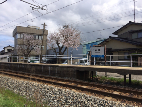 桜満開津幡町2016_a0155487_16580376.jpg