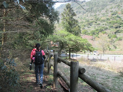 2016.04.05（火）雲仙・九千部岳（平日山行）_d0326888_17551951.jpg