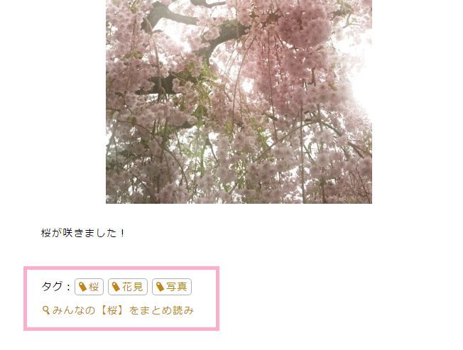 タグのデザインを一部変更いたしました（タグを設定した方のみ対象）_a0029090_18591384.jpg