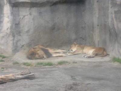 e0239190_12545245.jpg