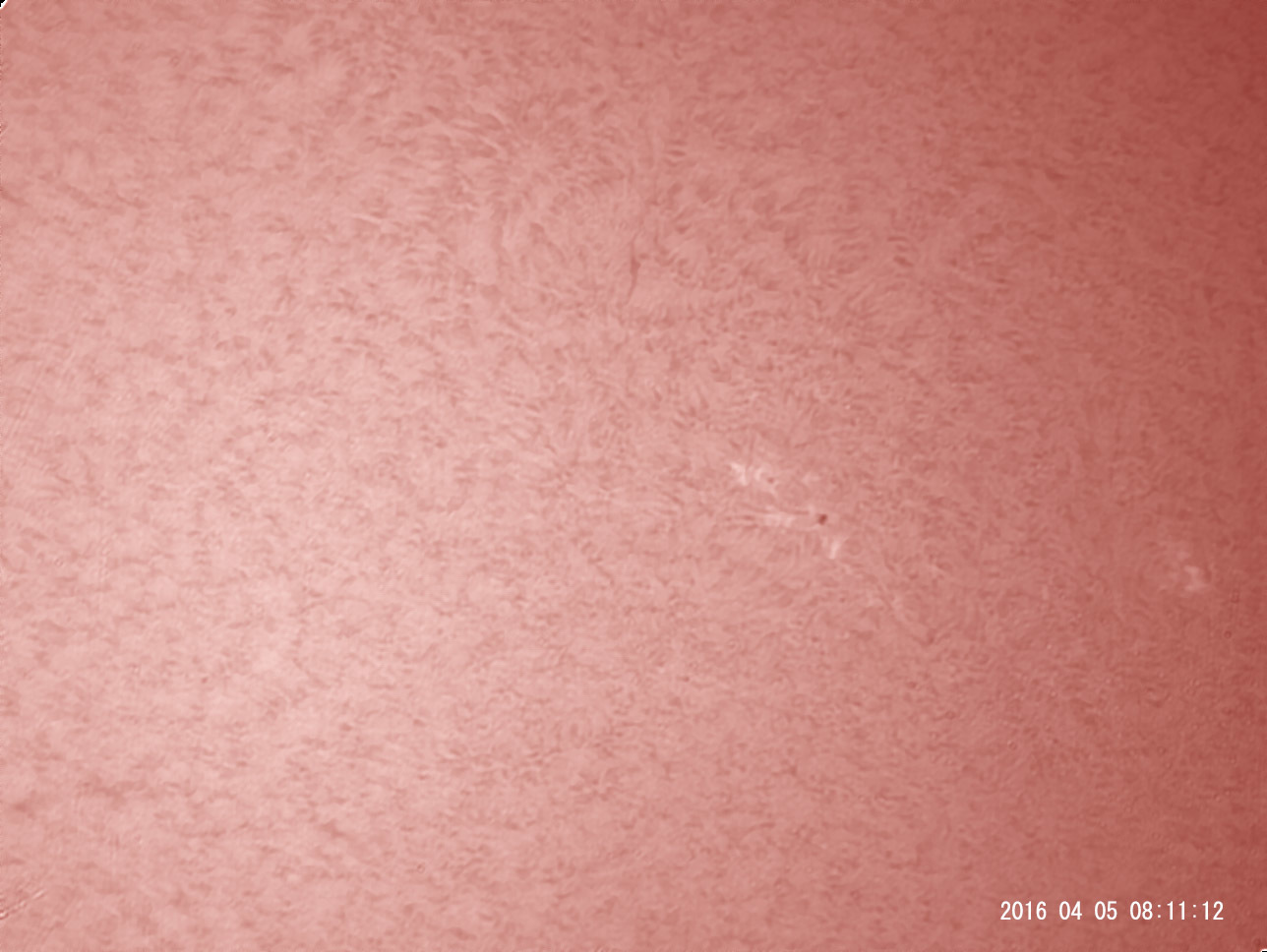 4月5日の太陽_e0174091_18591769.jpg
