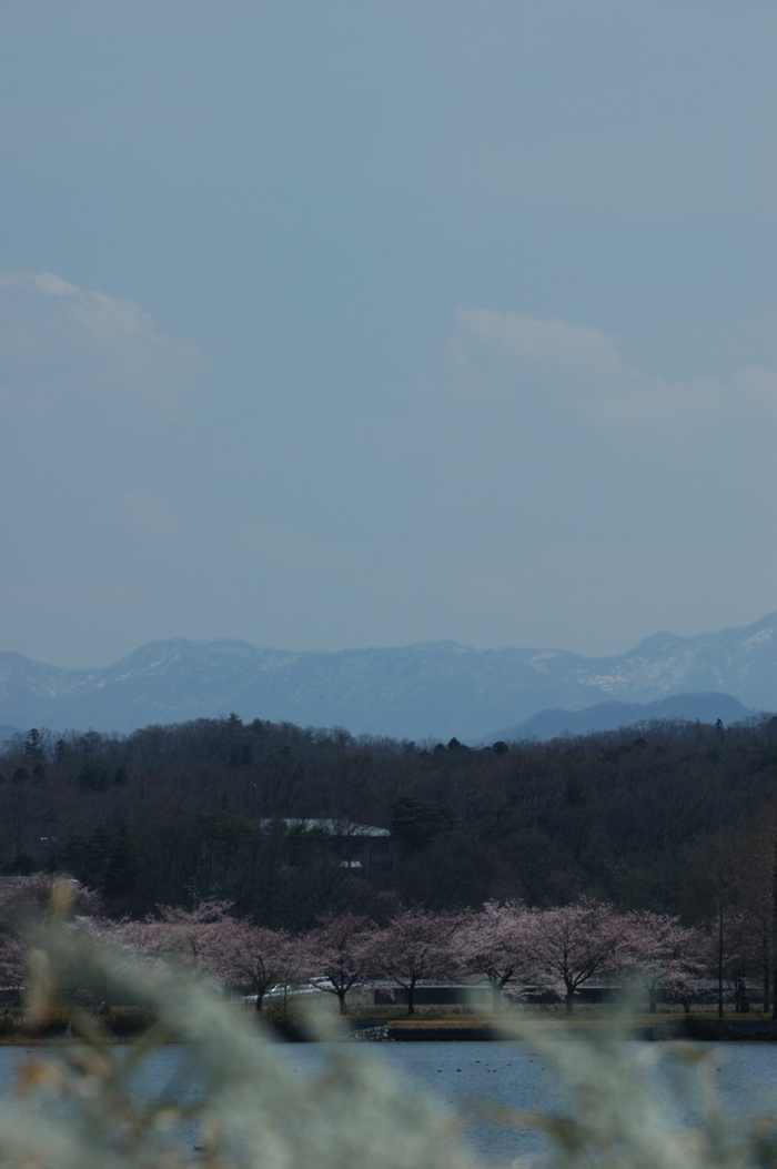 今日の空＋α_e0121792_2155351.jpg