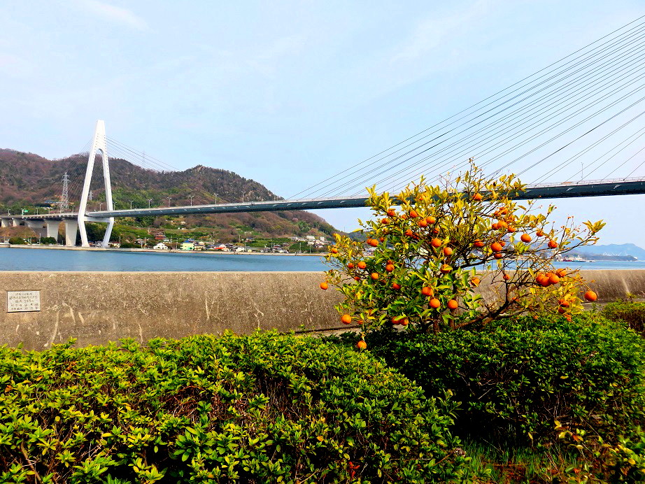 c0203393_931927.jpg