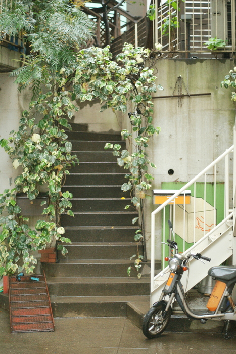 b0155395_11374768.jpg