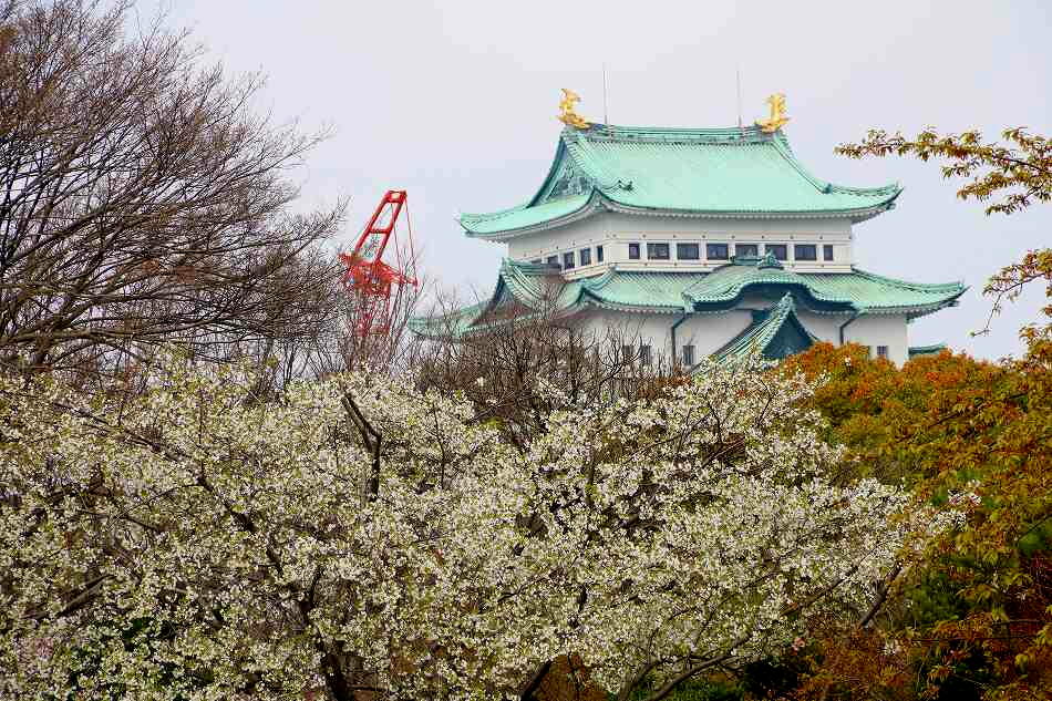 桜満開！名古屋城のデジブックを公開しました。_c0265095_23162043.jpg