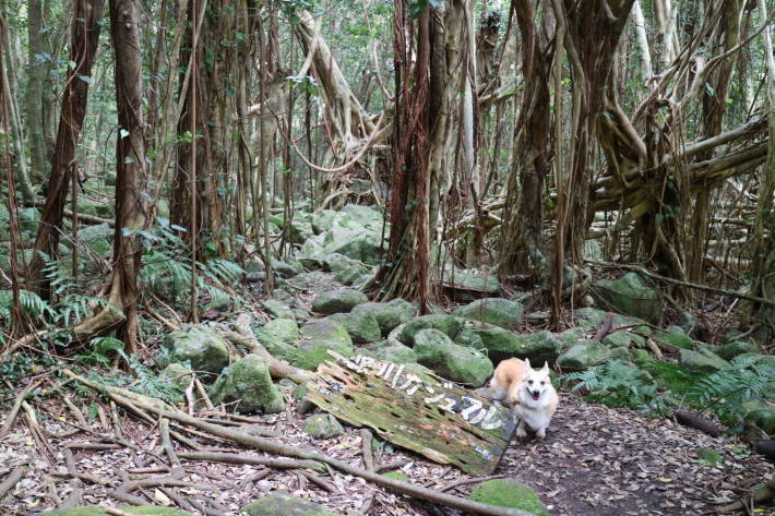 f0075595_00362971.jpg