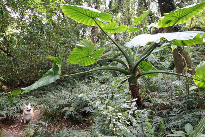 f0075595_00370366.jpg