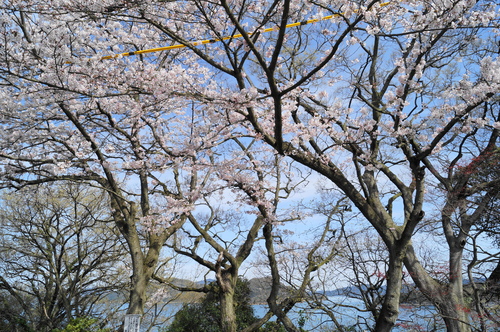 a0206496_2050489.jpg
