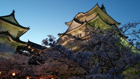 c0210803_1202596.jpg