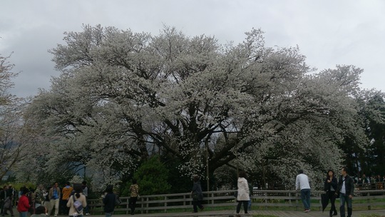 f0141905_912472.jpg