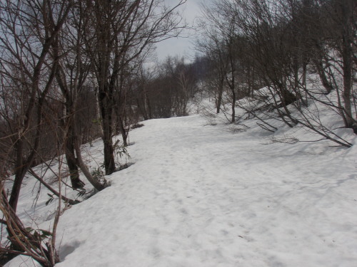 d0342206_20362854.jpg