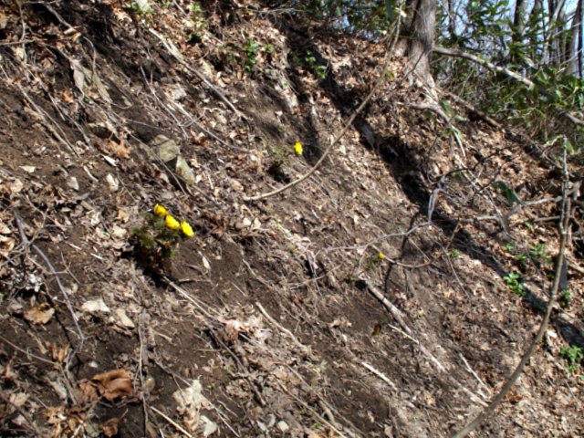 a0345007_1605897.jpg