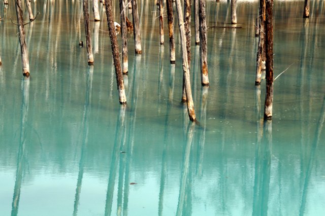 a0345007_214111100.jpg