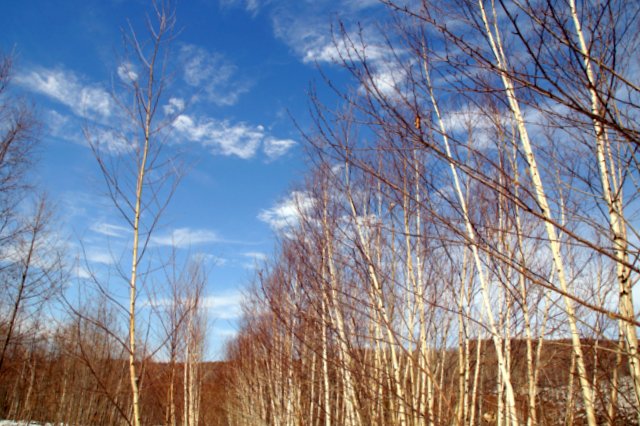 a0345007_21422151.jpg