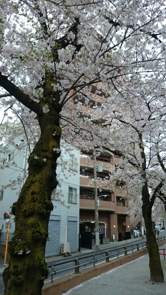 a0228408_22170026.jpg