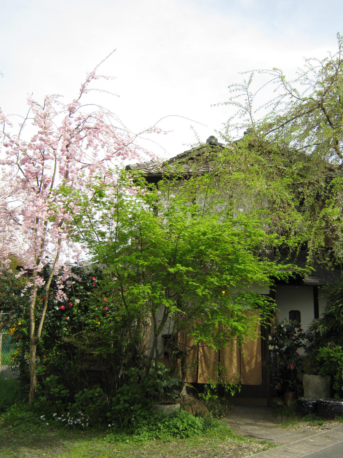f0173908_15484395.jpg
