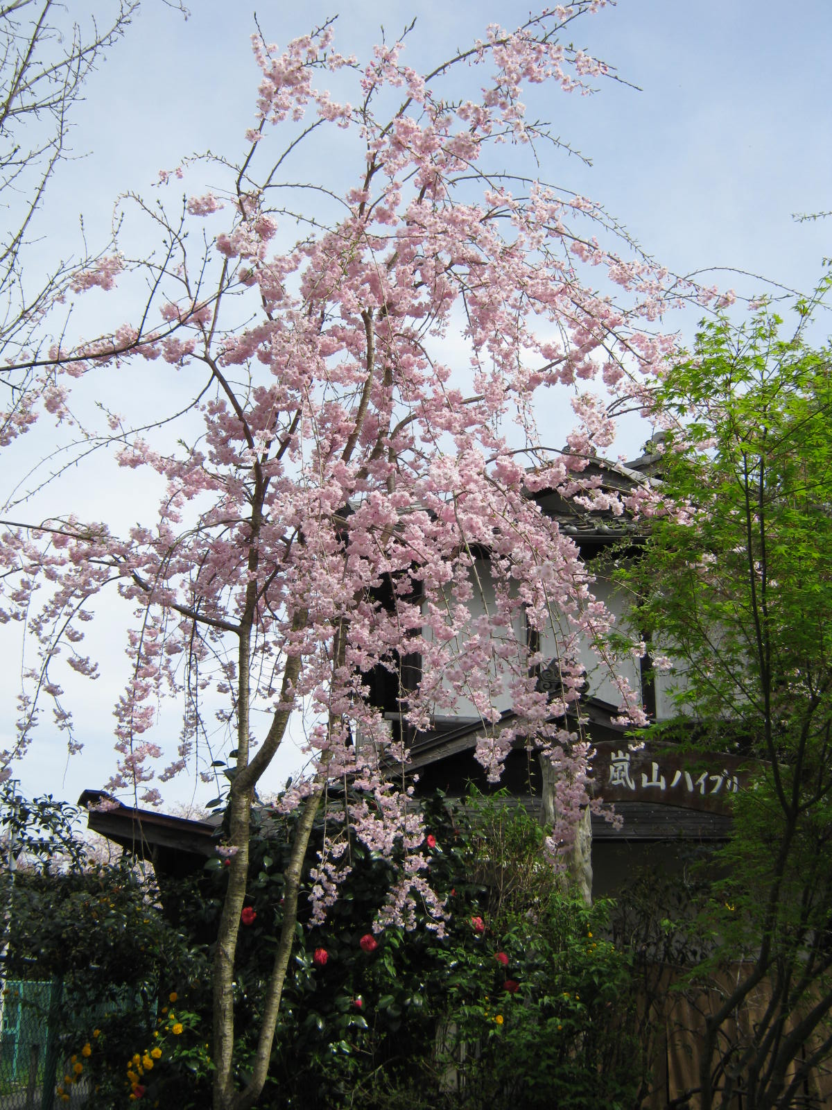 f0173908_1549923.jpg
