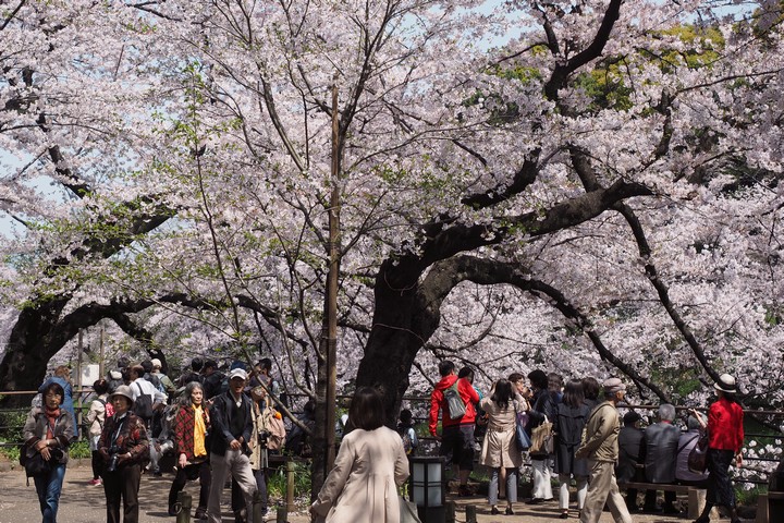 a0268412_21562598.jpg
