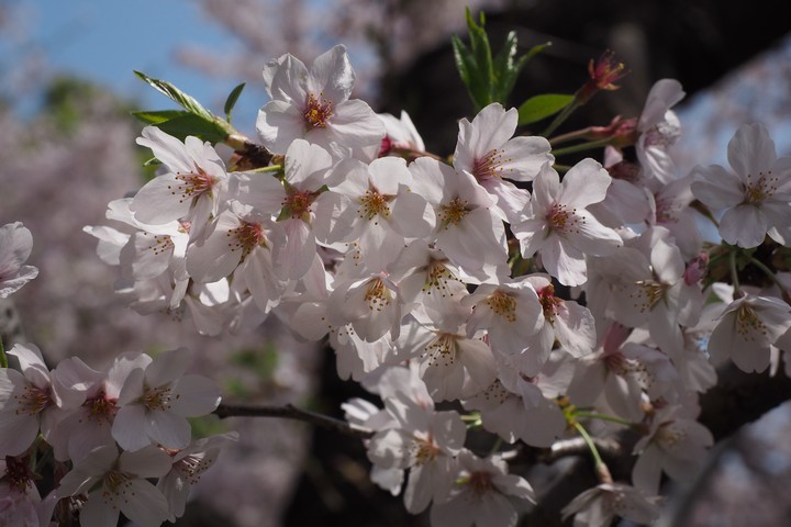 a0268412_21562776.jpg