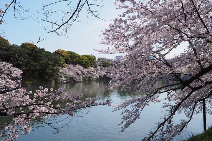 a0268412_21563038.jpg