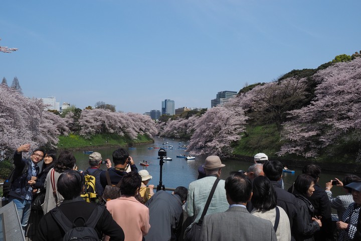 a0268412_21563722.jpg