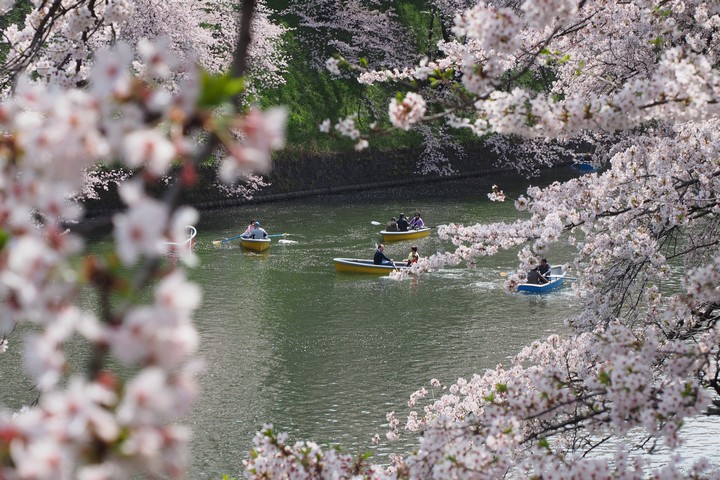 a0268412_21564167.jpg