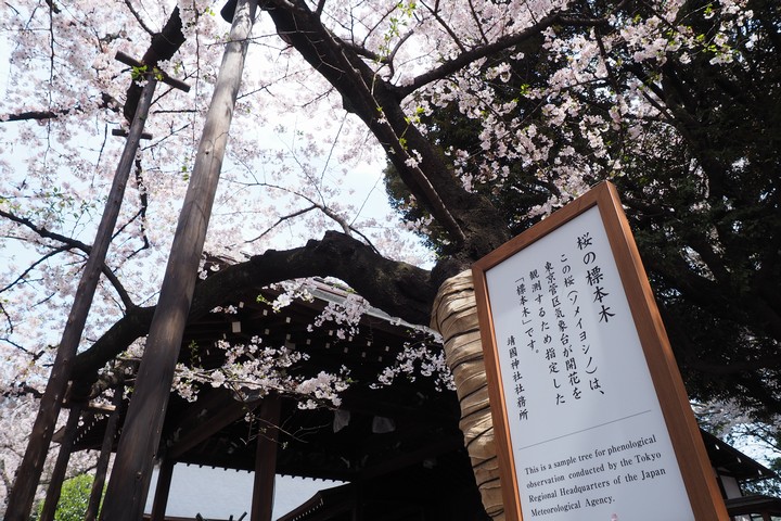 a0268412_21564555.jpg