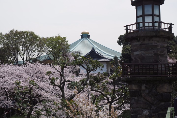 a0268412_21565066.jpg