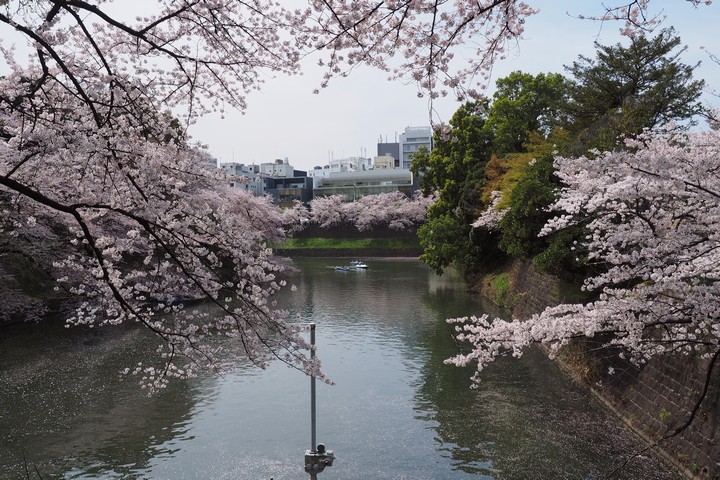 a0268412_21565290.jpg