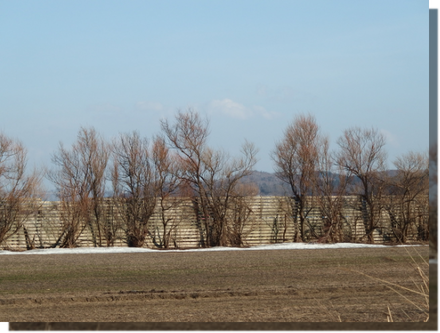 a0114514_1931189.png