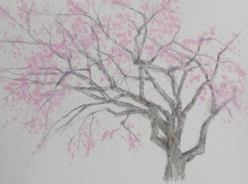 桜を描く_d0336714_19053065.jpg