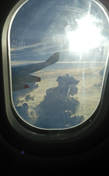 e0020214_1518547.gif